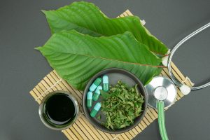 Legal Status of Kratom Current Regulations and Future Outlook