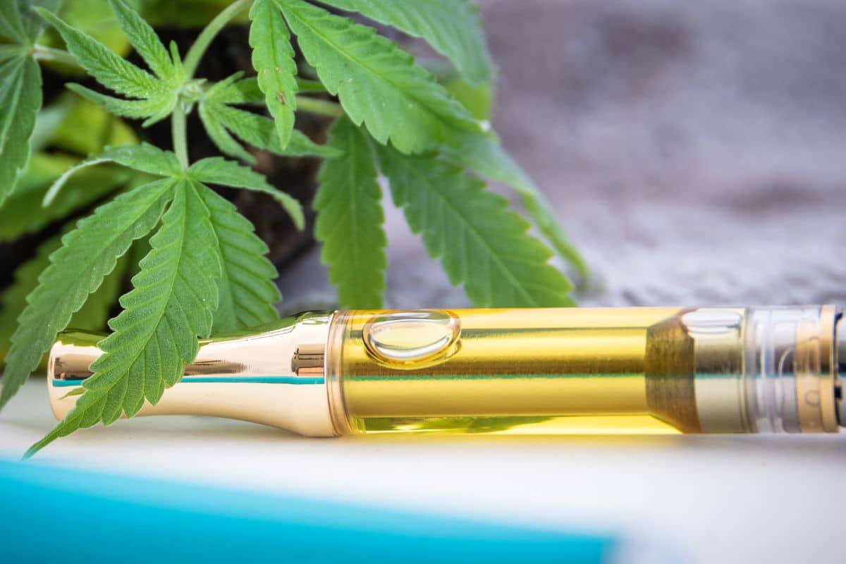 Disposable Weed Pens Choosing the Right Flavor for Your Palate